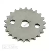 287913, Piaggio Group, Oil pump gear     , New