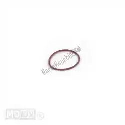 Here you can order the gasket from Piaggio Group, with part number 289840: