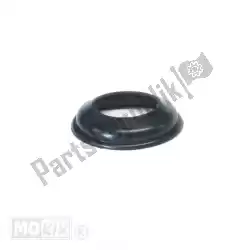 Here you can order the gasket from Piaggio Group, with part number 295522: