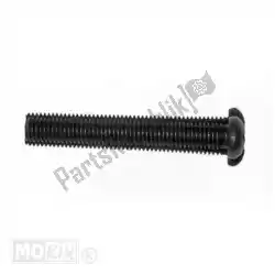 Here you can order the bolt 4. 2x35 gr. Retro from Mokix, with part number 32046: