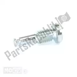 Here you can order the screw from Piaggio Group, with part number 432456: