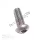 Bullone esagonale per disco freno m6x20 testa sferica acciaio inox (1) Mokix 4718