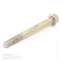 478895, Piaggio Group, Screw w/ flange     , New