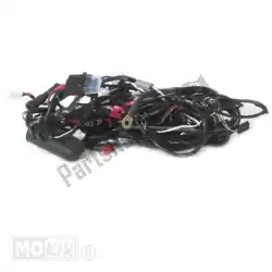 Here you can order the frame harness from Piaggio Group, with part number 641589: