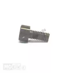 Here you can order the peu screw chc m6x1. 00-12 from Mokix, with part number 774798: