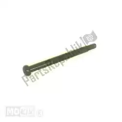 Here you can order the bolt hinge buddy peugeot tweet org from Mokix, with part number 801276: