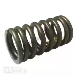 Here you can order the valve spring sym mio peu 4t nt org from Mokix, with part number 801416: