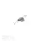 Chiave valvola peugeot/sym 4t (motore nuovo) org (1) Mokix 802055