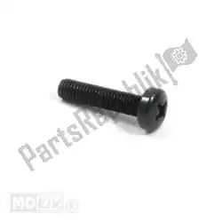 Here you can order the screw from Piaggio Group, with part number 828662: