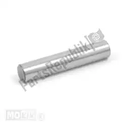 Here you can order the rocker arms axis from Piaggio Group, with part number 842174: