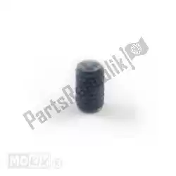 Here you can order the plug m6x10 from Piaggio Group, with part number 842360: