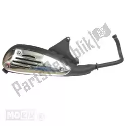 Here you can order the silencer complete with protection from Piaggio Group, with part number 8808745: