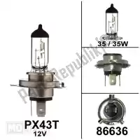 86636, Mokix, bulb px43t 12v 35/35w hs1 (1) LAMP PX43T 12V 35/35W HS1 (1)<hr>LAMPE PX43T 12V 35/35W HS1 (1)<hr>AMPOULES PX43T 12V 35/35W HS1 (1)<hr>BULB PX43T 12V 35/35W HS1 (1), New