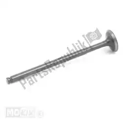 Here you can order the intake valve from Piaggio Group, with part number 872305:
