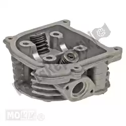 Here you can order the cylinder head china 4t gy6 no sls (64mm valves) from Mokix, with part number 89916: