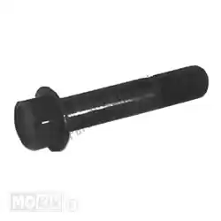 Here you can order the sym mio bolt 10x50 from Mokix, with part number 90106M9Q000: