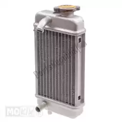Qui puoi ordinare radiatore rieju rr/spike/smx/mrx supertec da Mokix , con numero parte 91079: