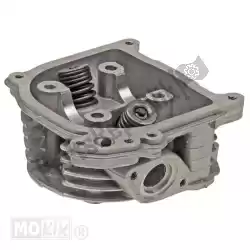 Here you can order the cylinder head china 4t gy6 sls (64mm valves) from Mokix, with part number 93232: