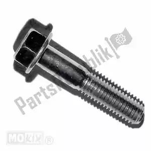 mokix 958010804000 sym fiddle 2 fl. bolt 8x40 m10 - Bottom side