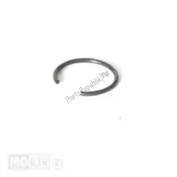 Aqui você pode pedir o anello elastico ritegno spinotto em Piaggio Group , com o número da peça 969213:
