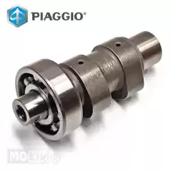 Here you can order the cam axle from Piaggio Group, with part number 9692476: