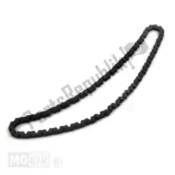 Here you can order the camshaft chain from Piaggio Group, with part number 96933R: