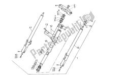 forcella anteriore
