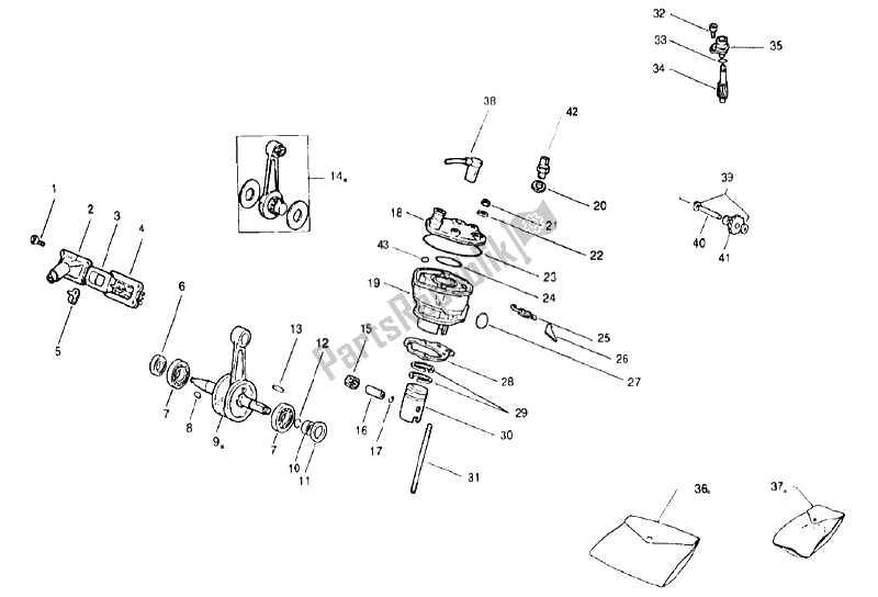 All parts for the Drive Shaft - Cylinder of the Aprilia Pegaso 50 1992