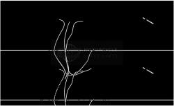 transmissies