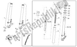 forcella anteriore