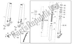 forcella anteriore