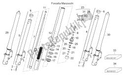 forcella anteriore iii