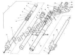 forcella anteriore