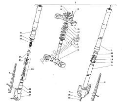 forcella anteriore