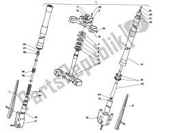 forcella anteriore
