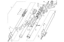 forcella anteriore