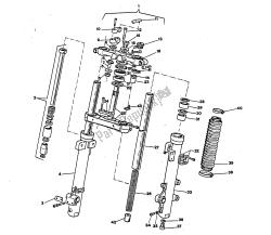 forcella anteriore