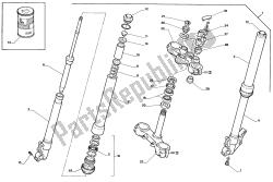 forcella anteriore