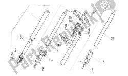 forcella anteriore m / n