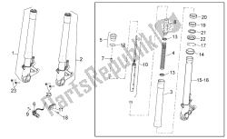 forcella anteriore