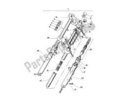 forcella anteriore