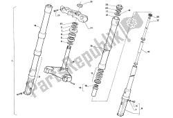 forcella anteriore