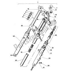 forcella anteriore