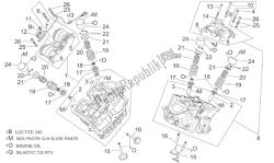 Cylinder head and valves