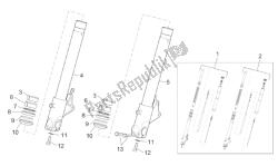 forcella anteriore ii