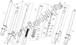 forcella anteriore iii