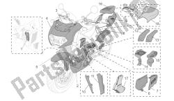 acc. - partes especiales del cuerpo