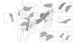 acc. - partes especiales del cuerpo