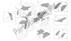 acc. - speciale lichaamsdelen