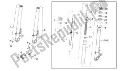 forcella anteriore